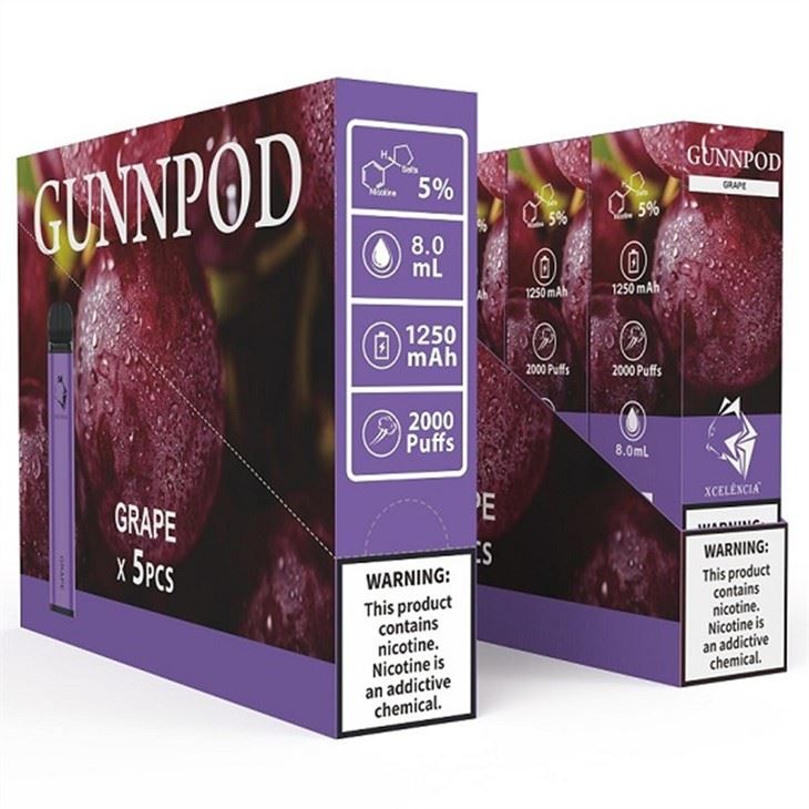 Pod de vapotage Gunnpod 2000