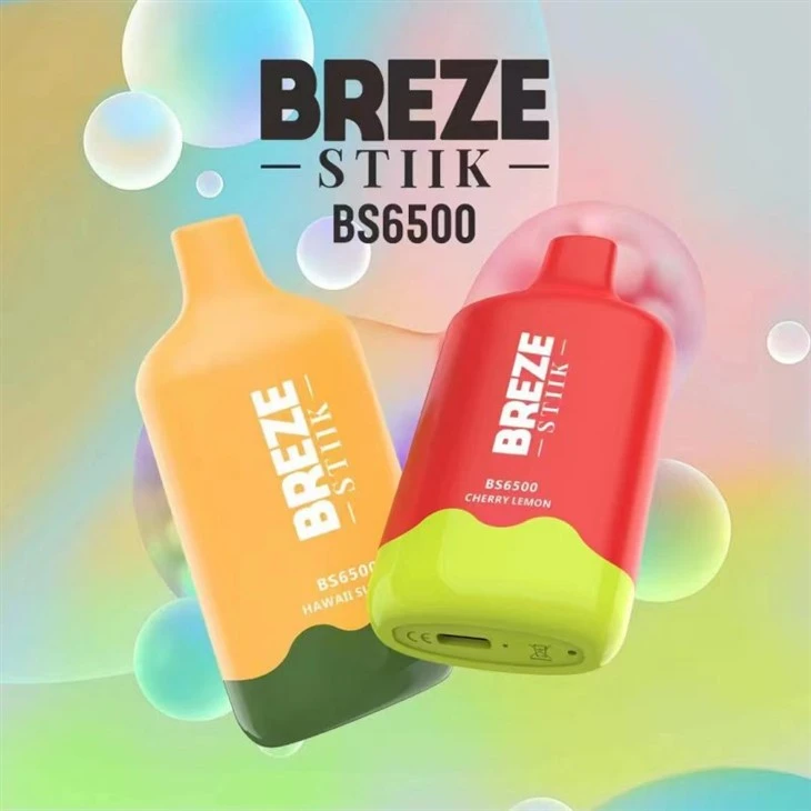 Brezé Stiik BS6500