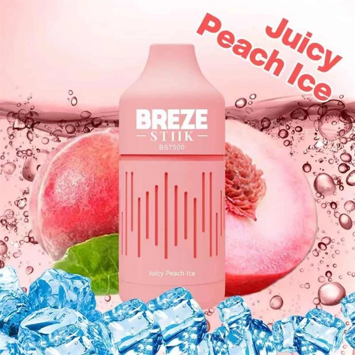 Vape jetable BREZE STIIK BS7500