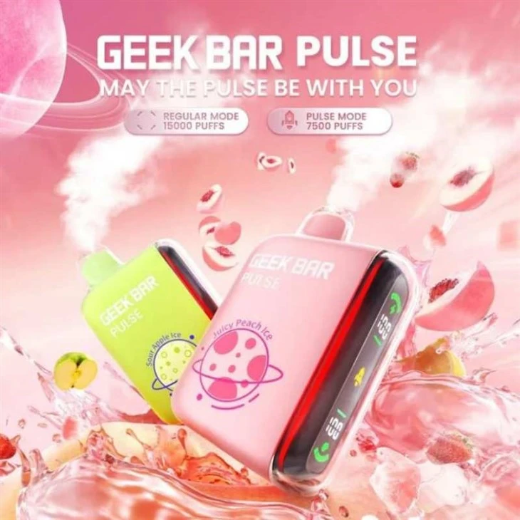 Barre Geek Pulse 15000