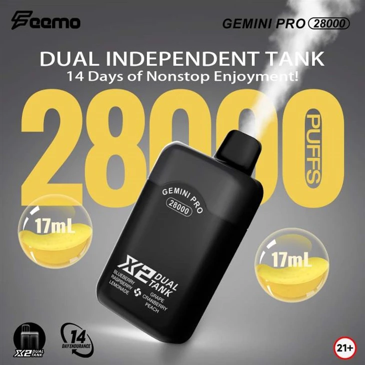FEEMO GEMINI PRO 28000
