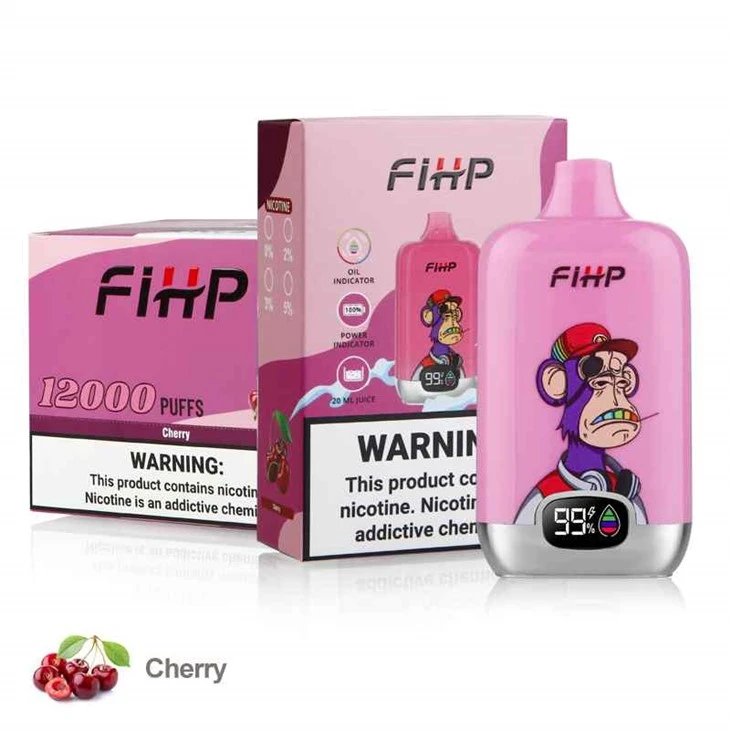 Boîtier numérique FIHP 12000
