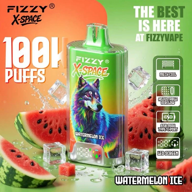 Fizzy X-Espace 100 000 km