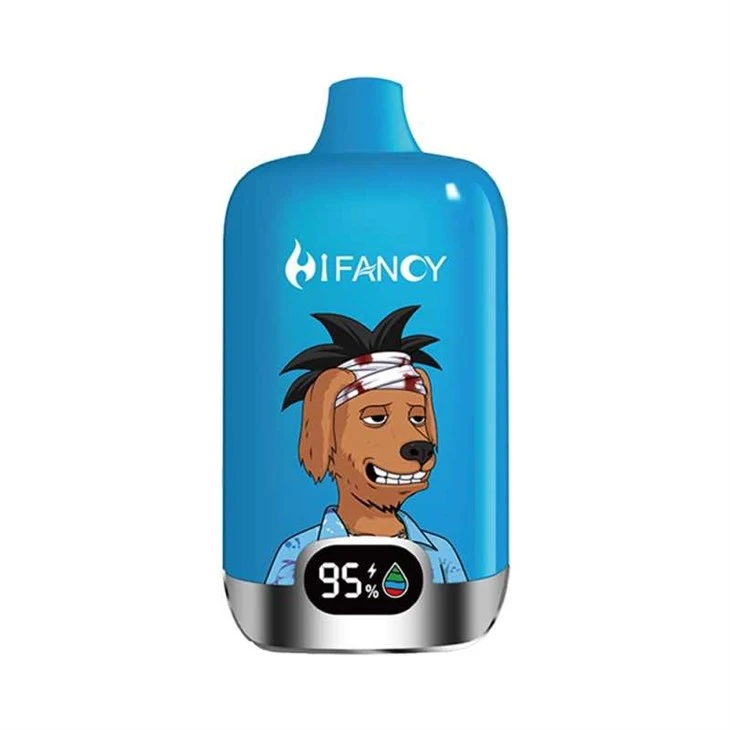 BOÎTE NUMÉRIQUE HIFANCY 16K