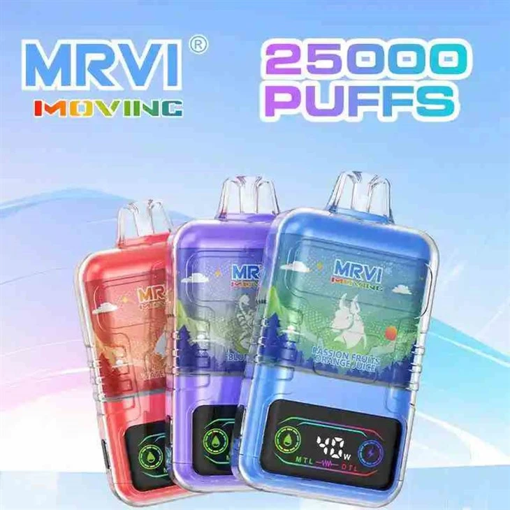 MRVI Déménagement 25000
