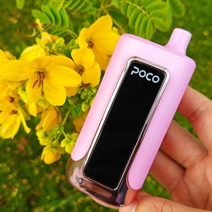 POCO FR80000 SOUFFLÉE