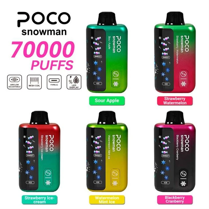 POCO BONHOMME DE NEIGE 70000