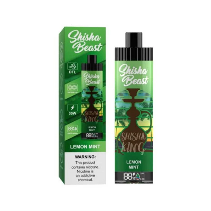 R&M ShiSha Beast 20 000 bouffées
