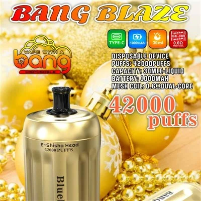 Blaze Blaze E-Shisha Head 42000 Puffs
