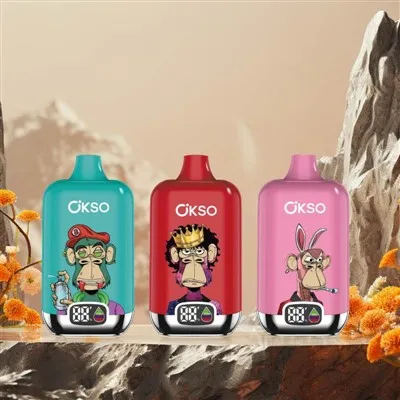 Boîte numérique OKSO 12K