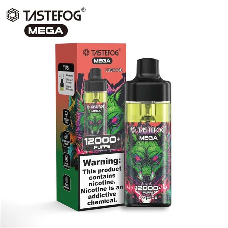 TASTEFOG MÉGA 12000 Puffs