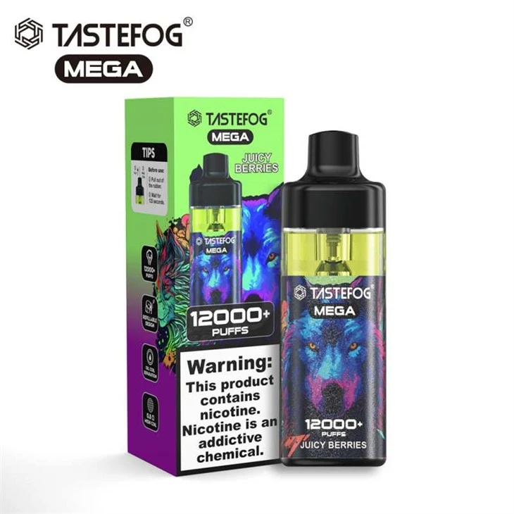 TASTEFOG MÉGA 12000