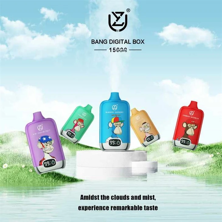 BOÎTE NUMÉRIQUE UZY BANG 15000