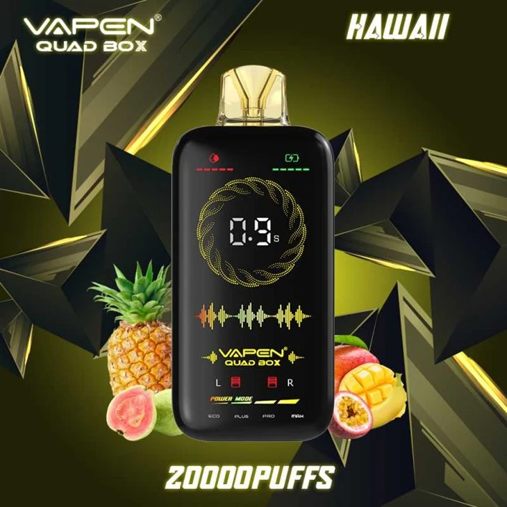 BOÎTE VAPEN QUAD 20000