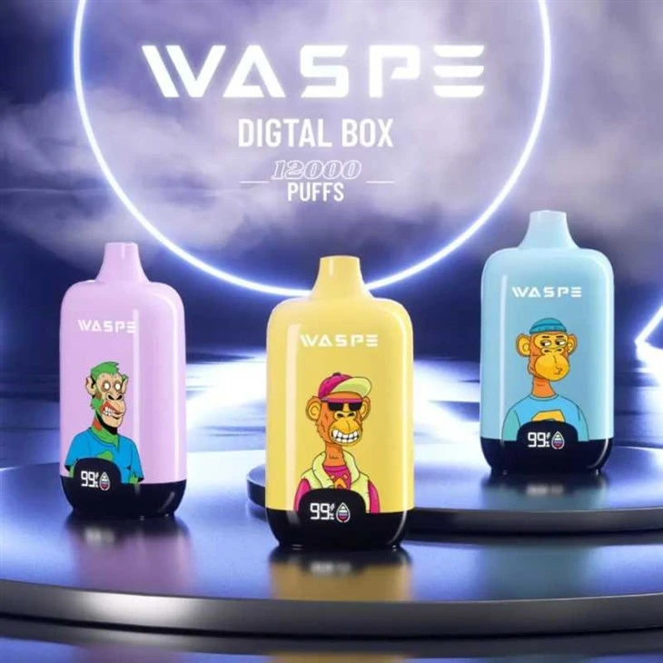 Boîte numérique WASPE 12000